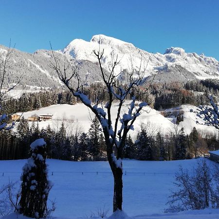 Ferienwohnung Wohlesser Annaberg im Lammertal Esterno foto