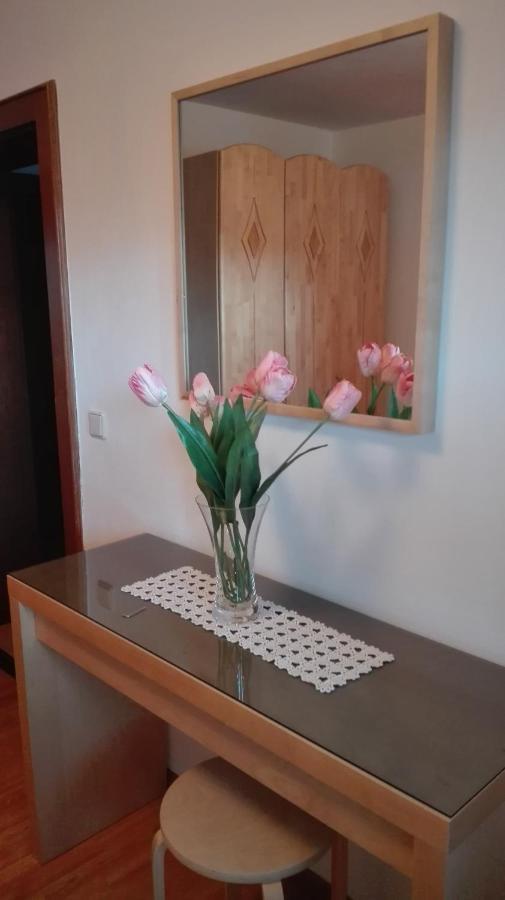 Ferienwohnung Wohlesser Annaberg im Lammertal Esterno foto