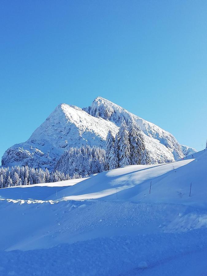 Ferienwohnung Wohlesser Annaberg im Lammertal Esterno foto