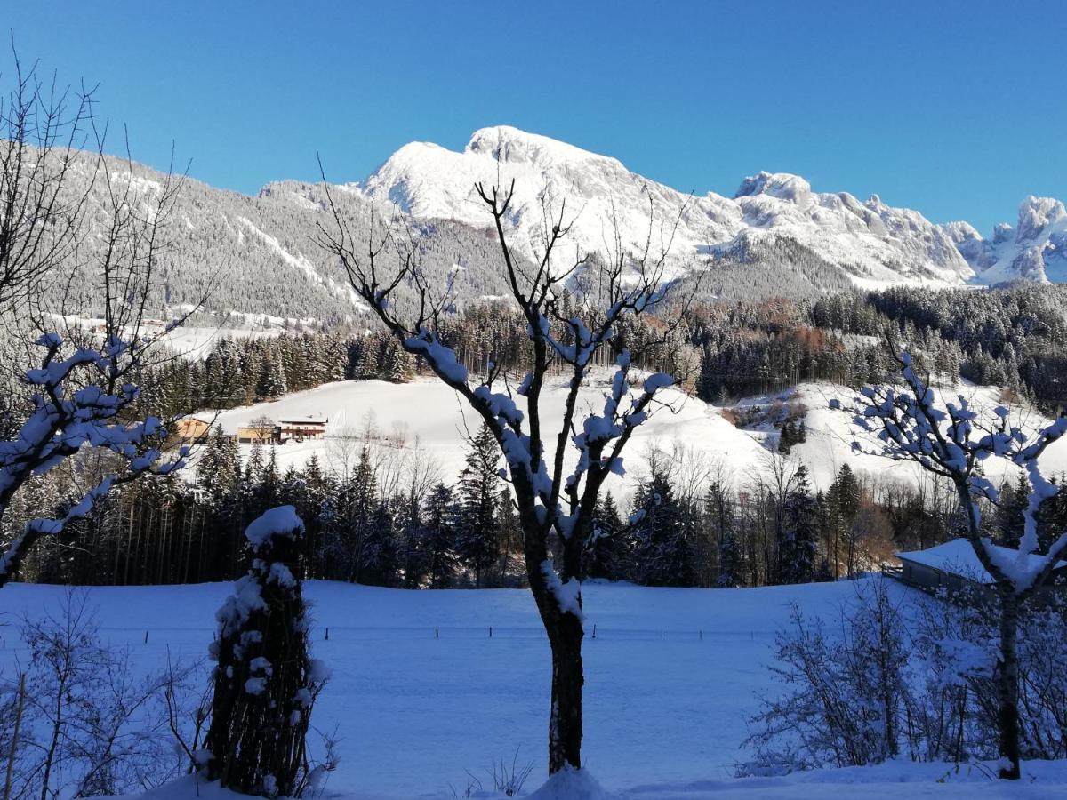 Ferienwohnung Wohlesser Annaberg im Lammertal Esterno foto